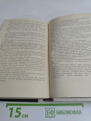 Белые киты
