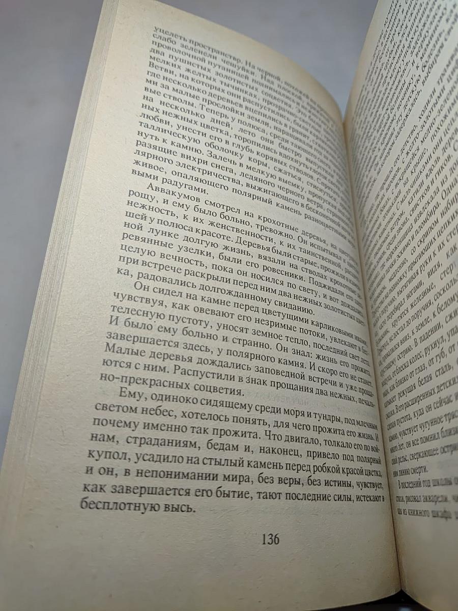 Последний солдат империи. Кремлевский апокалипсис