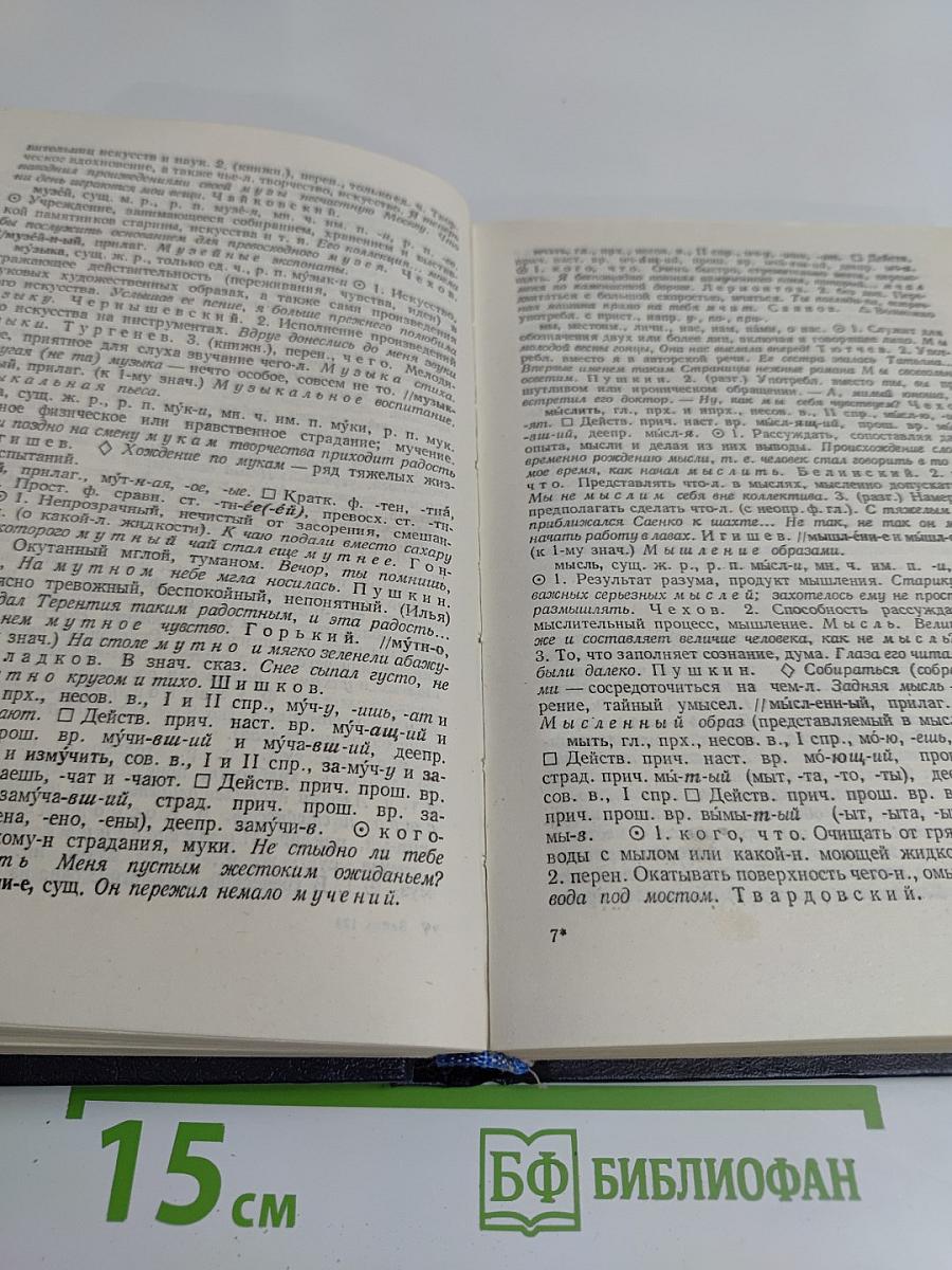 Школьный толковый словарь русского языка