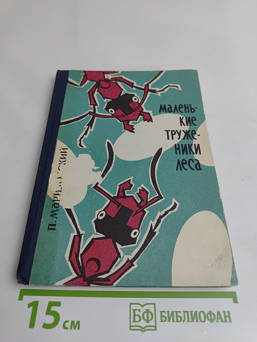 Маленькие труженики леса