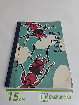 Маленькие труженики леса