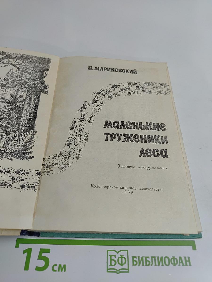 Маленькие труженики леса
