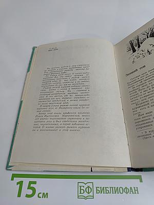 Маленькие труженики леса