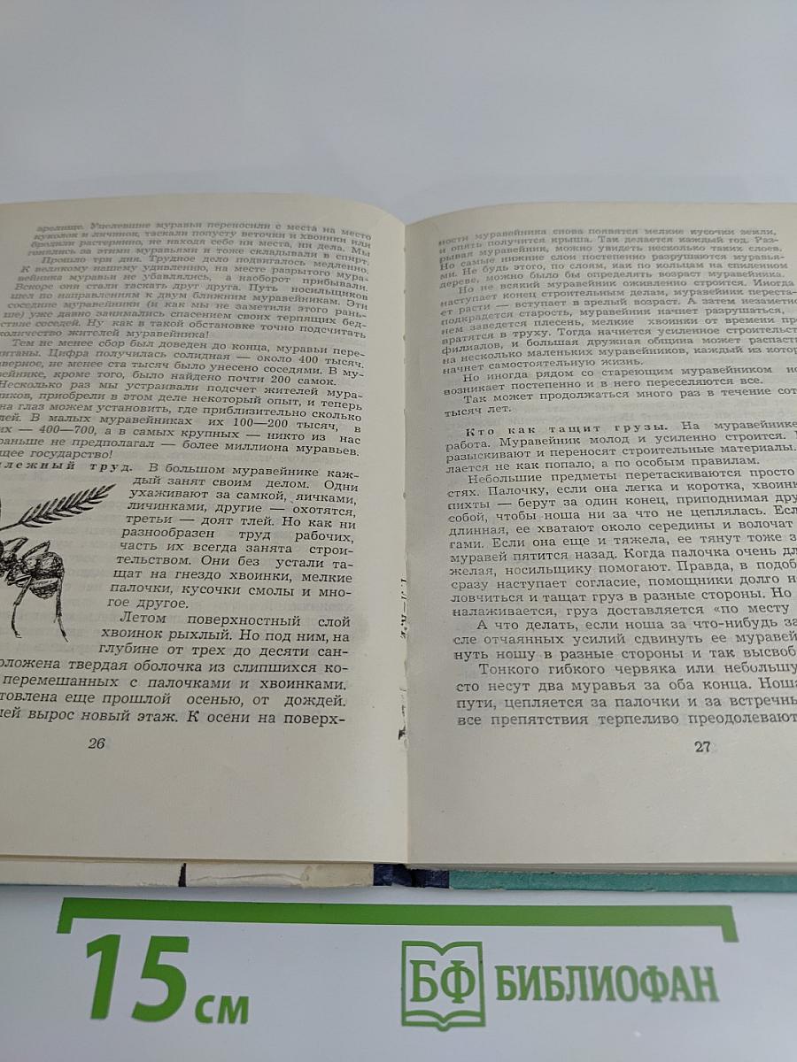 Маленькие труженики леса