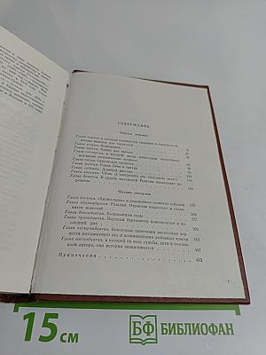 Черный город