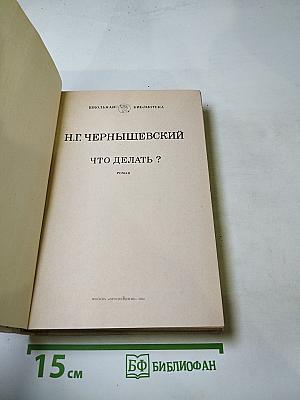 Что делать?