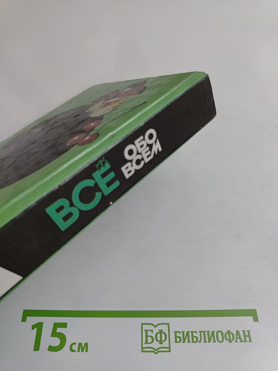 Всё обо всём. Популярная энциклопедия для детей