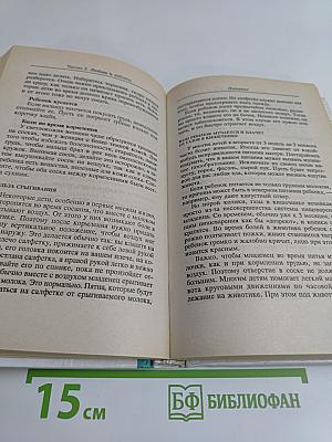 Грамматика материнства
