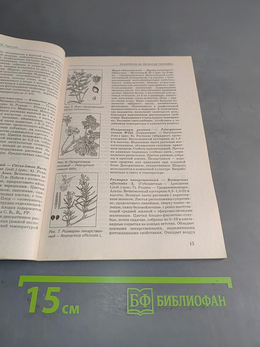 Экология человека. Практикум для вузов