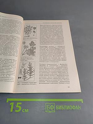 Экология человека. Практикум для вузов