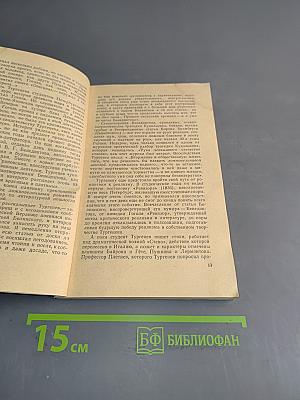 Иван Сергеевич Тургенев. Биография писателя
