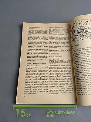 Необычные блюда из обычных продуктов