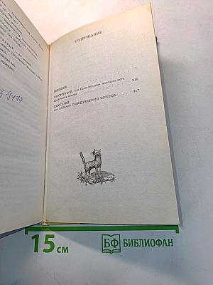 Хвострубой, или Приключения молодого кота