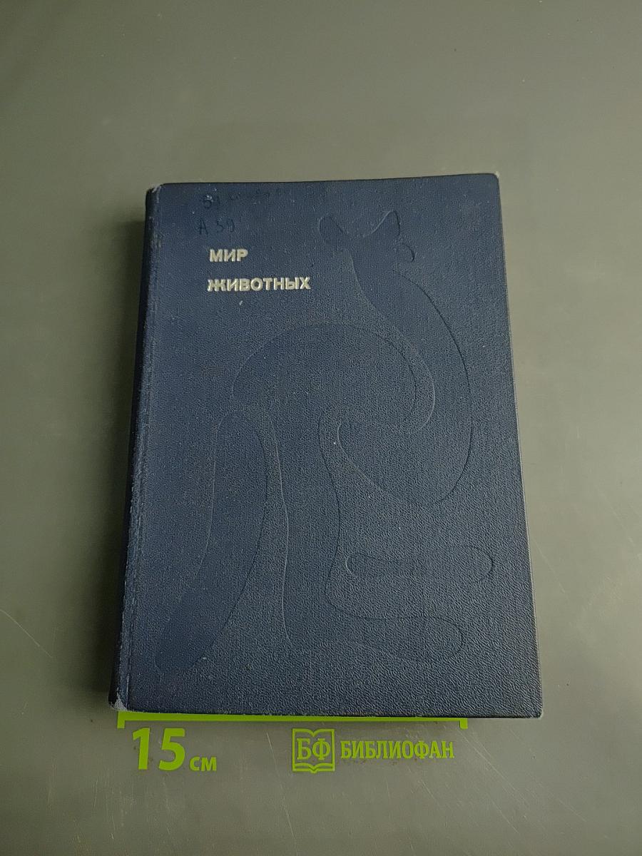 Мир животных
