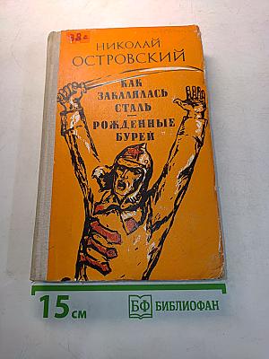 Как закалялась сталь. Рожденные бурей