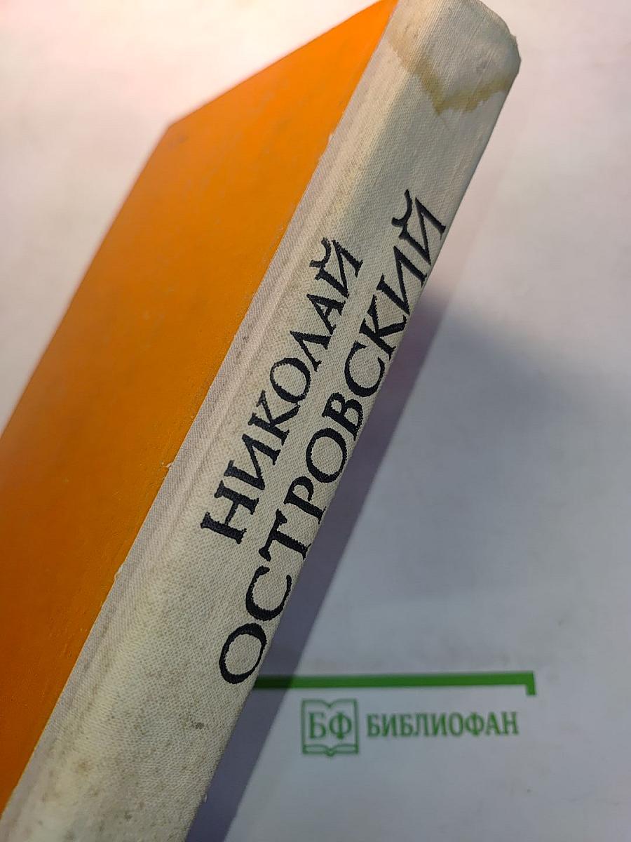 Как закалялась сталь. Рожденные бурей