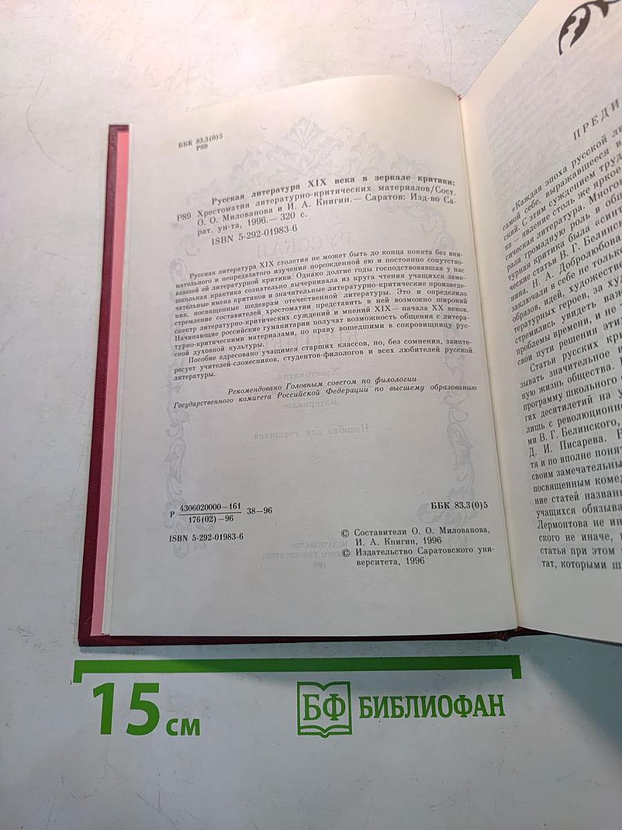 Русская литература XIX века в зеркале критики