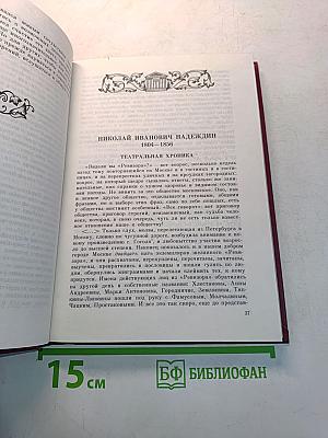 Русская литература XIX века в зеркале критики