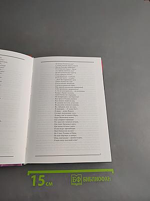 Императорского флота офицер Платон Плетнёв