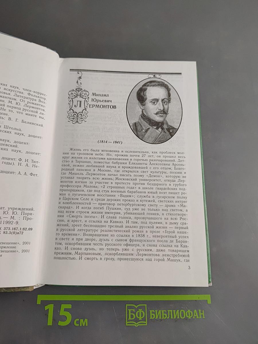 Литература 10 класс