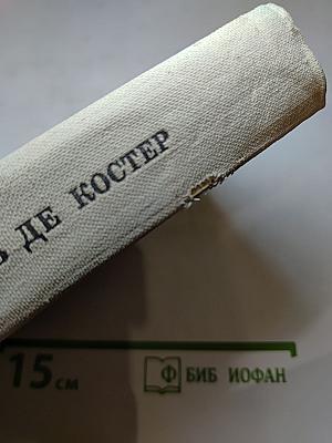Легенда об Уленшпигеле и Ламме Гудзаке, их приключениях отважных, забавных и достославных во Фландрии и иных странах