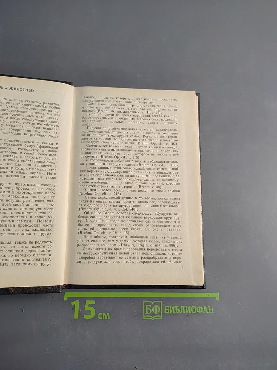 Женщина преступница и проститутка