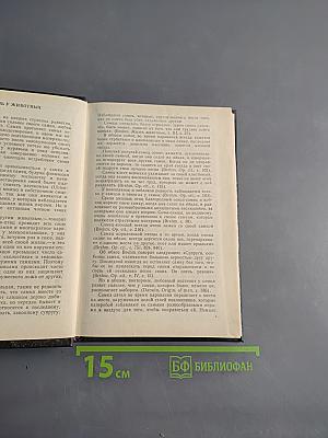 Женщина преступница и проститутка