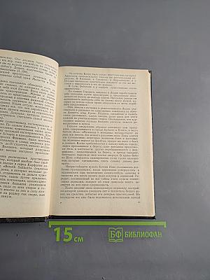 Женщина преступница и проститутка