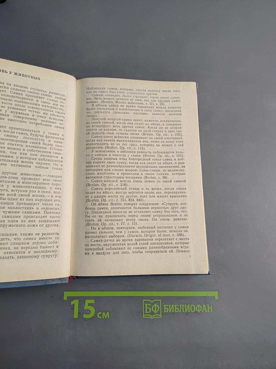 Женщина, преступница и проститутка