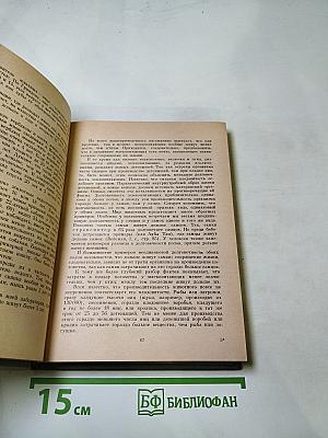 Этюды оптимизма