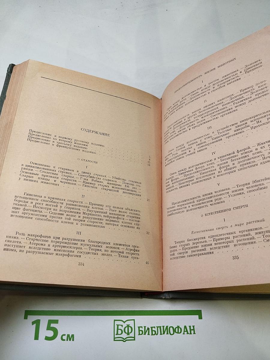 Этюды оптимизма