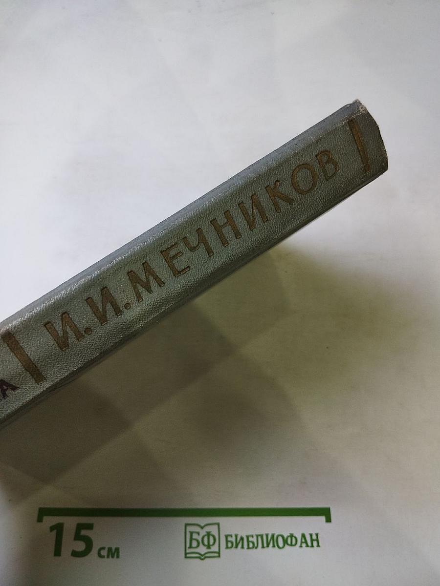 Этюды оптимизма