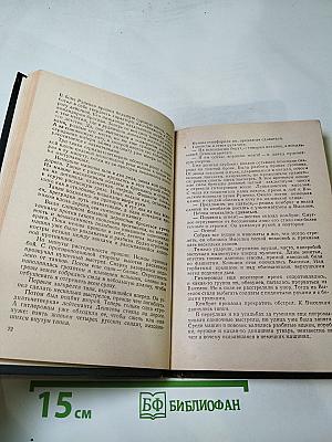 В действующей армии: Из записок военного корреспондента