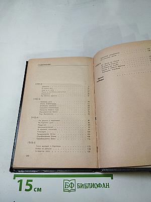 В действующей армии: Из записок военного корреспондента