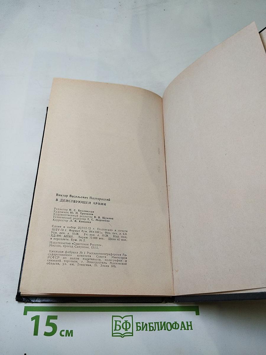 В действующей армии: Из записок военного корреспондента