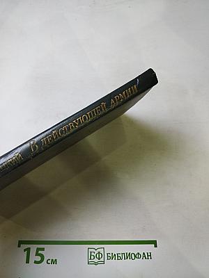 В действующей армии: Из записок военного корреспондента