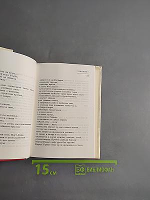 С Палестиной в сердце
