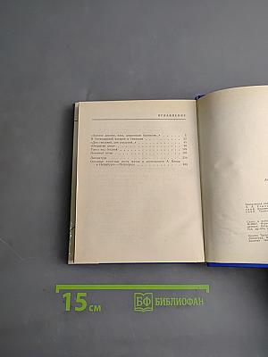 Блок в Петербурге-Петрограде
