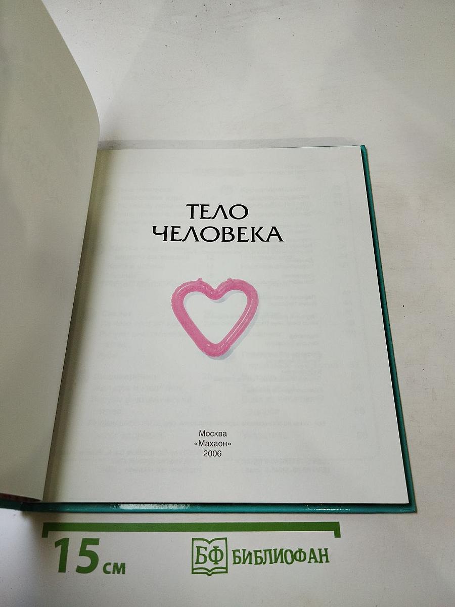 Тело человека