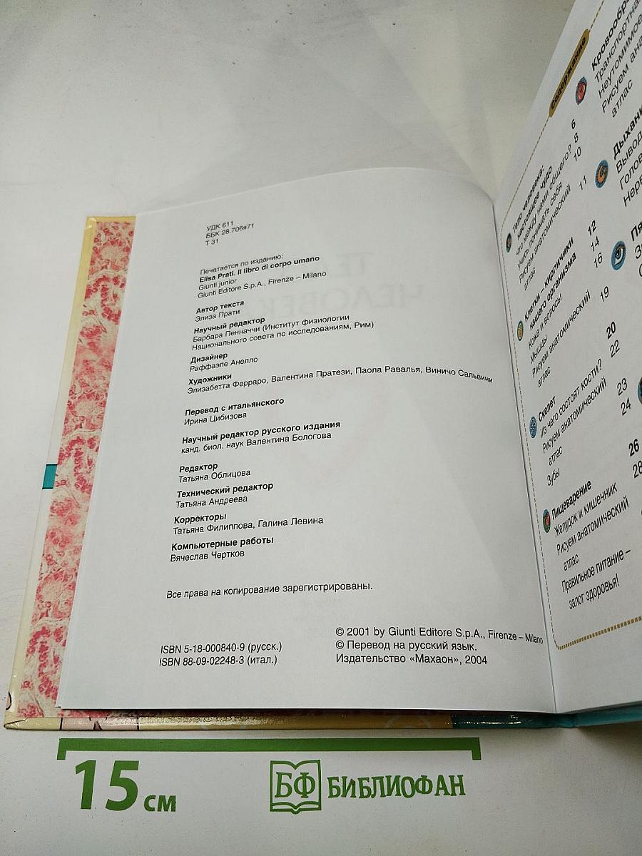 Тело человека