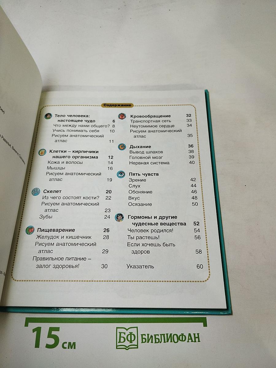 Тело человека