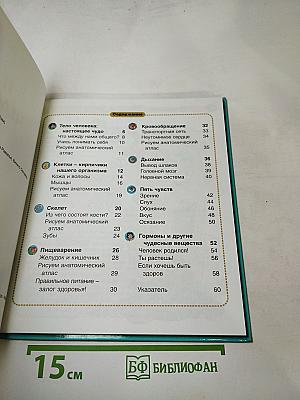 Тело человека