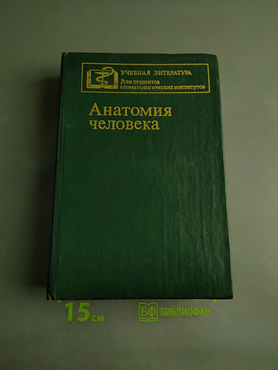 Анатомия человека
