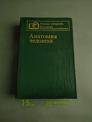 Анатомия человека