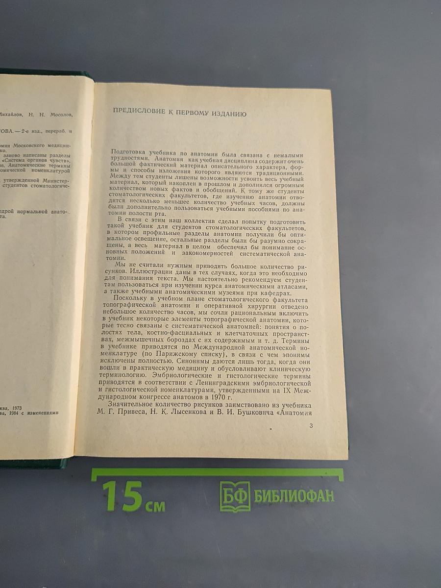 Анатомия человека