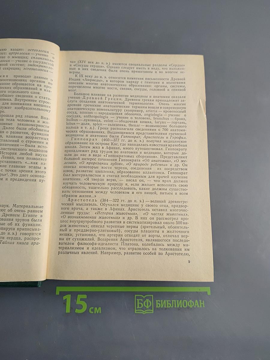 Анатомия человека