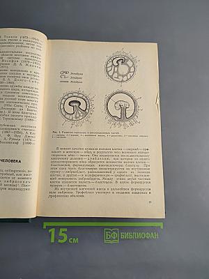 Анатомия человека