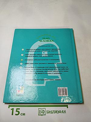 Тело человека