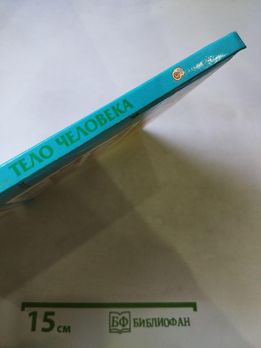 Тело человека