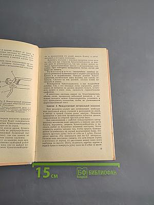 Машинопись